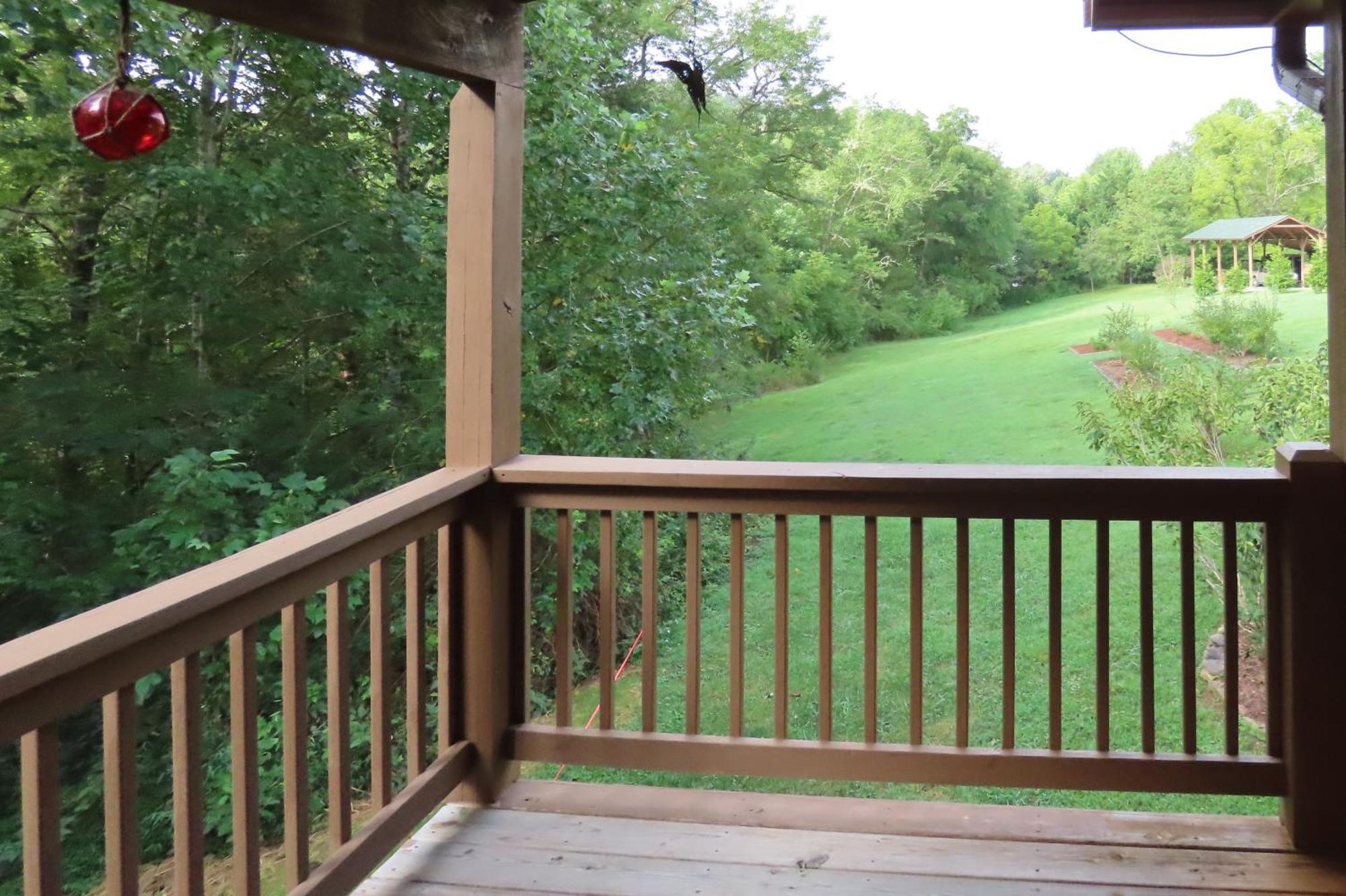Scenic Fox Ridge Cabin On 4 Acres With Hot Tub! Whittier Exterior photo